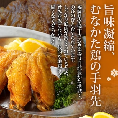 手羽先カリカリ揚げ(醤油味・塩味)20本(5本入り×各2袋)