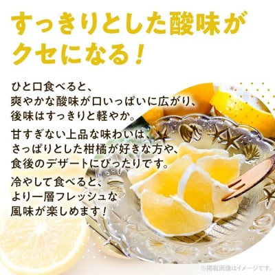 ニューサマーオレンジ(日向夏)約1.2kg