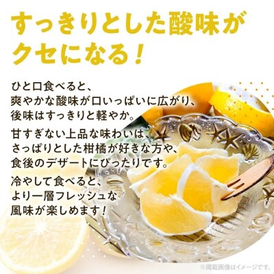 ニューサマーオレンジ(日向夏)約1.2kg　※2027年4月上旬頃から順次発送