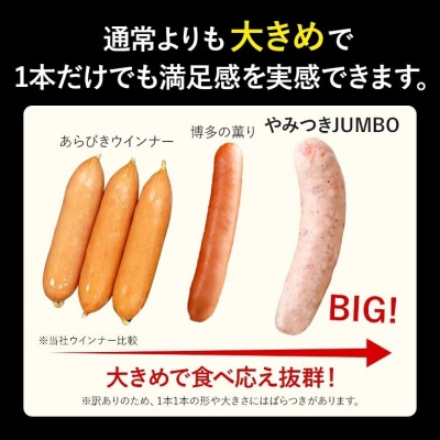 【数量限定】訳あり!やみつきJUMBOポークフランク!合計3.0kg!