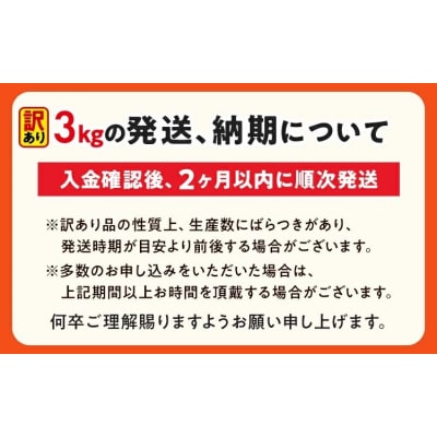【数量限定】訳あり!やみつきJUMBOポークフランク!合計3.0kg!