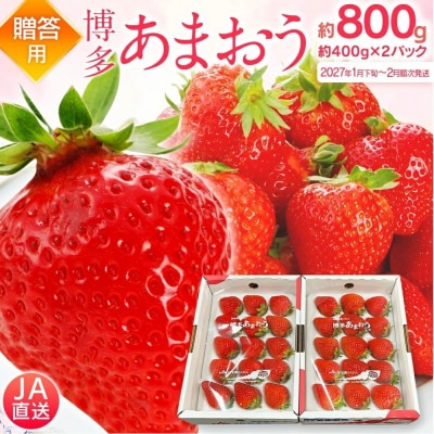 【2027年1月下旬～2月順次発送予定】あまおう 約400g×2パックEX 合計約800g