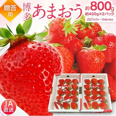 【2027年2月～3月順次発送予定】あまおう 約400g×2パックEX 合計約800g