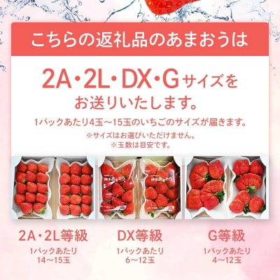 【2027年1月下旬～2月順次発送予定】あまおう 約250g×4パック　合計約1,080g