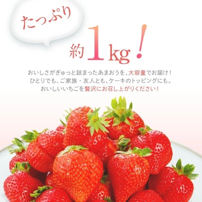 【2027年1月下旬～2月順次発送予定】あまおう 約250g×4パック　合計約1,080g