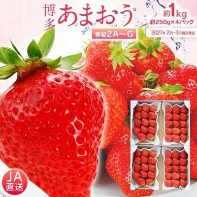 【2027年2月～3月順次発送予定】あまおう 約250g×4パック　合計約1,080g