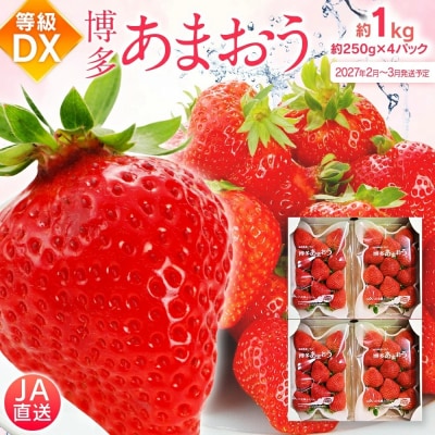 あまおう 約250g×4パックDX【2027年2月～3月順次発送】