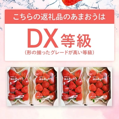あまおう 約250g×4パックDX【2027年2月～3月順次発送】