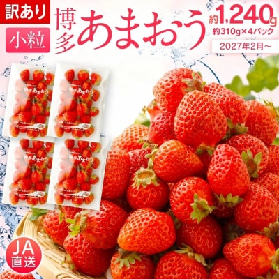 訳あり 小粒あまおう 約310g×4パック【2027年2月より順次発送】