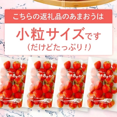 訳あり 小粒あまおう 約310g×4パック【2027年2月より順次発送】