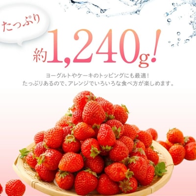 訳あり 小粒あまおう 約310g×4パック【2027年2月より順次発送】