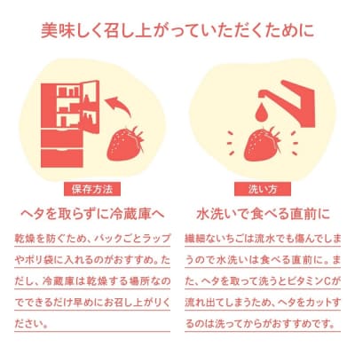 訳あり 小粒あまおう 約310g×4パック【2027年2月より順次発送】