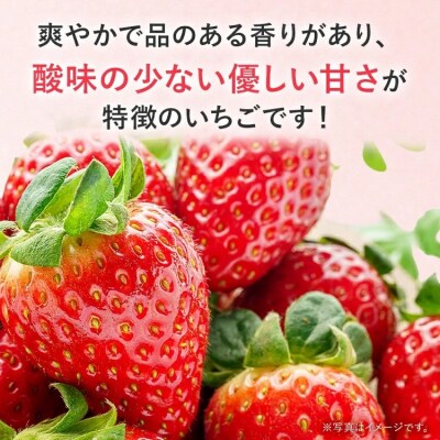 【2027年2月より順次発送】農家直送 完熟いちご　2パック(かおり野)