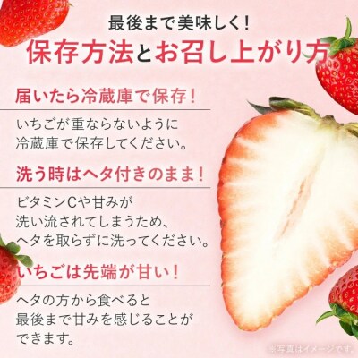 【2027年2月より順次発送】農家直送 完熟いちご　2パック(かおり野)