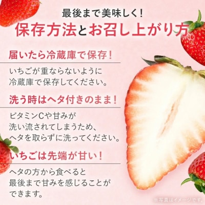 【2027年2月より順次発送】農家直送 完熟いちご　2パック(紅ほっぺ)