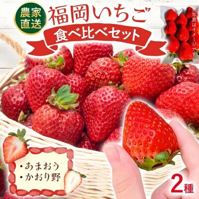 【2027年2月より順次発送】福岡いちご2種　食べ比べセット(あまおう&かおり野)2026