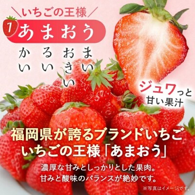 【2027年2月より順次発送】福岡いちご2種　食べ比べセット(あまおう&かおり野)2026