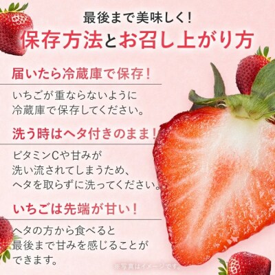 【2027年2月より順次発送】福岡いちご2種　食べ比べセット(あまおう&かおり野)2026