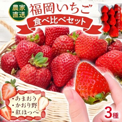 【2027年2月より順次発送】福岡いちご3種　食べ比べセット(あまおう&かおり野&紅ほっぺ)2026