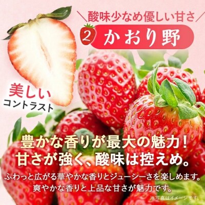 【2027年2月より順次発送】福岡いちご3種　食べ比べセット(あまおう&かおり野&紅ほっぺ)2026