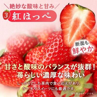 【2027年2月より順次発送】福岡いちご3種　食べ比べセット(あまおう&かおり野&紅ほっぺ)2026