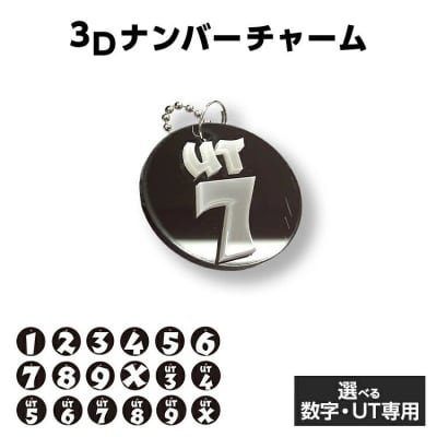 3Dナンバーチャーム