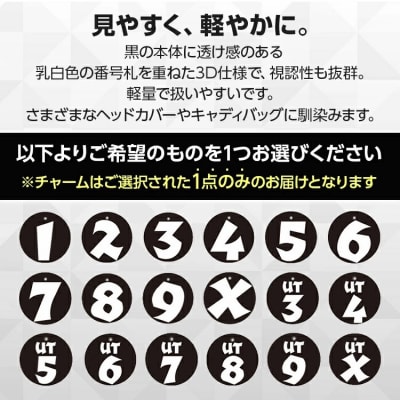 3Dナンバーチャーム