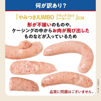 訳あり!特盛!ソーセージ食べ比べまんぷく福袋 合計3.5kg