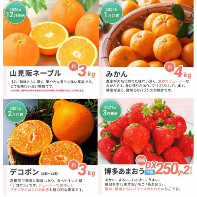 【定期便(4回発送)】果物定期便A　2026