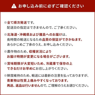 【定期便(4回発送)】果物定期便A　2026