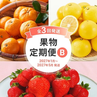 【定期便(3回発送)】果物定期便B　2026