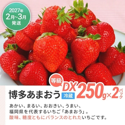 【定期便(3回発送)】果物定期便B　2026