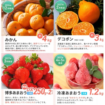 【定期便(6回発送)】果物定期便C　2026