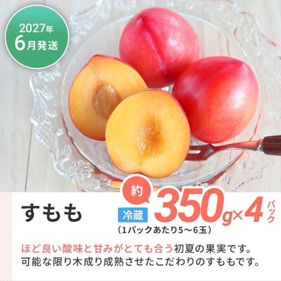 【定期便(6回発送)】果物定期便C　2026