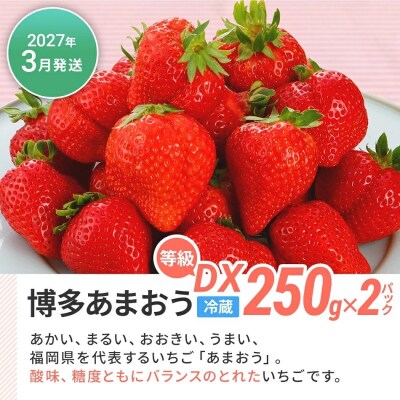 【定期便(2回発送)】果物定期便D　2026