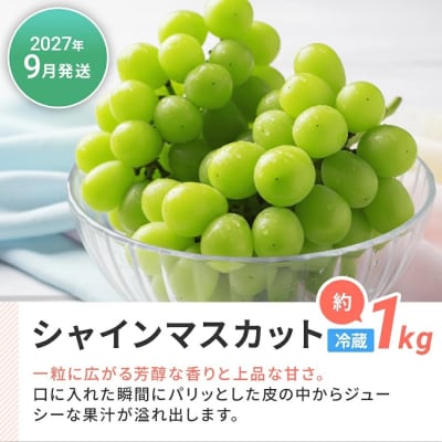 【定期便(2回発送)】果物定期便D　2026