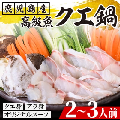 クエ鍋セット(2～3人前)　※秋から春頃のみ配送