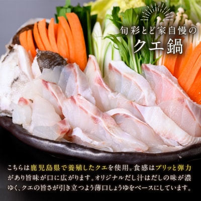 クエ鍋セット(2～3人前)　※秋から春頃のみ配送