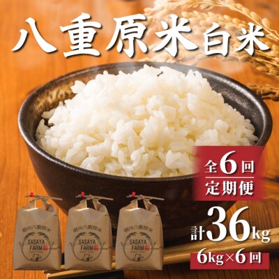 令和8年新米受付【6回定期便】八重原米6kg(2kg×3袋)白米※2026年10月以降発送|笹屋農園