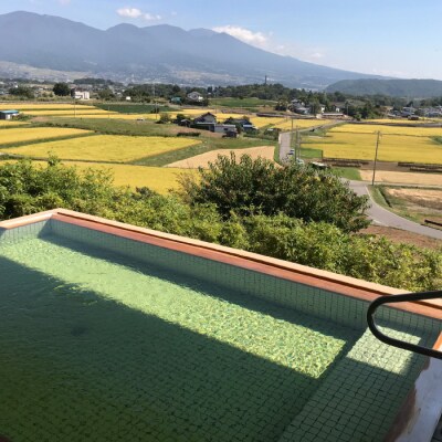信州八重原温泉 アートヴィレッジ明神館 宿泊補助券 5,000円分