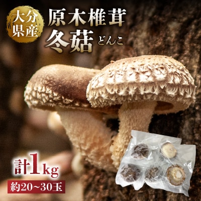 冷凍 原木しいたけ(冬菇)1kg_F07040