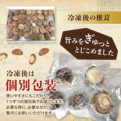 冷凍 原木しいたけ(冬菇)1kg_F07040