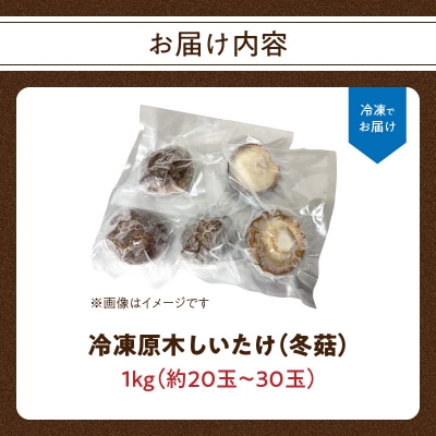 冷凍 原木しいたけ(冬菇)1kg_F07040
