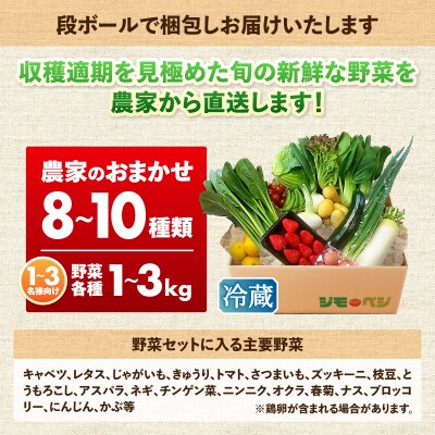 ジモベジ野菜セット(a10-1232)