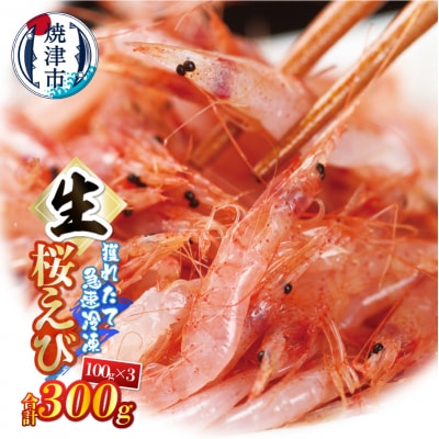 生桜えび100g×3パック 合計300g(a10-1249)