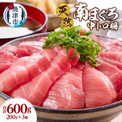 天然 ミナミマグロ 中トロ 柵 刺身 焼津 海の極 計600g 200g×3(a25-066)