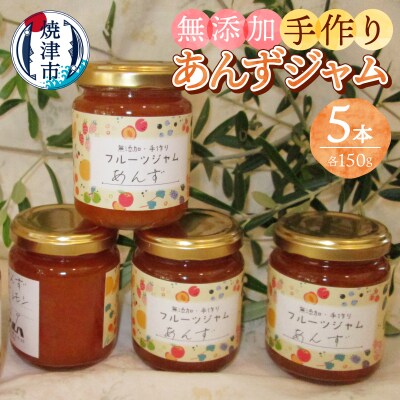 あんず 無添加 手作り ジャム 5本セット(a10-1255)