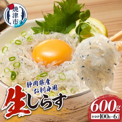 静岡県産お刺身用生しらす:100g×6パック　合計600g(a10-1266)