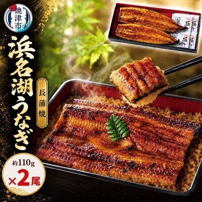 浜名湖うなぎ蒲焼　約110g×2尾(a13-152)