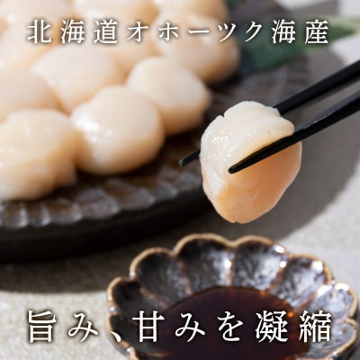 ホタテ 北海道産 冷凍 貝柱 500g(250g×2個セット)【頓別漁業協同組合】 ほたて 帆立